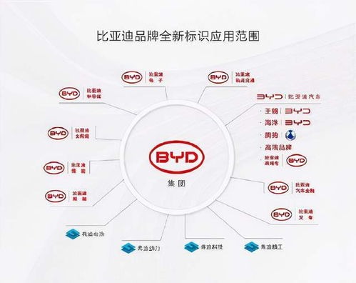 比亚迪变阵 品牌价值重塑与‘蔚小理’的战略接招