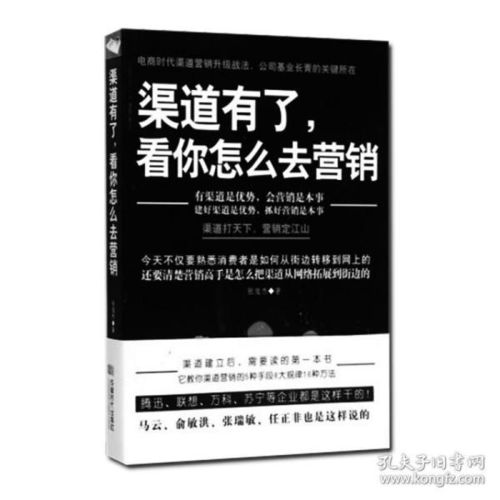 渠道为王，营销为霸 从冲突理论到品牌管理的深度解析